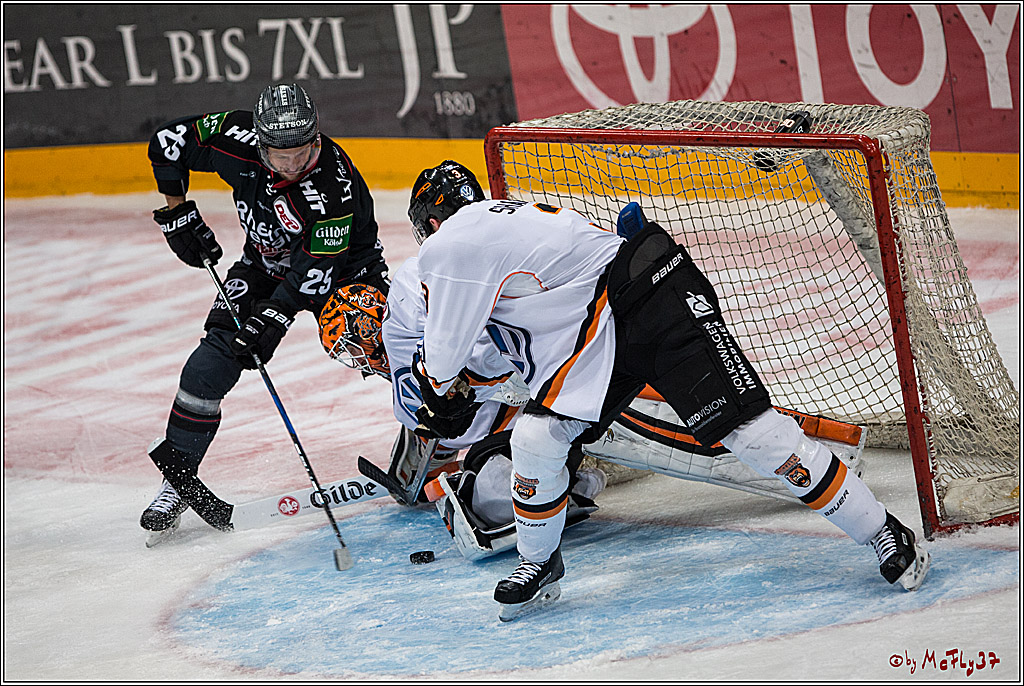 DEL, Koelner Haie - Grizzlys Wolfsburg, 21.02.2017